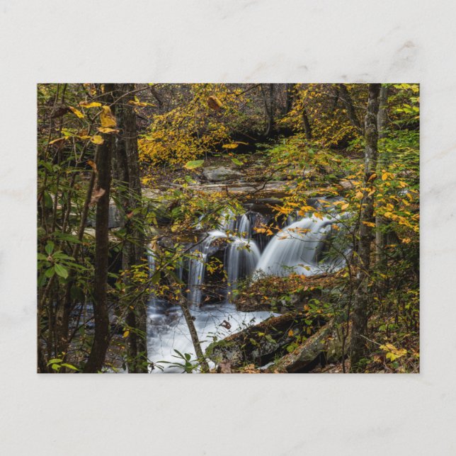 Dunloup Creek Falls | West Virginia Postcard (Front)