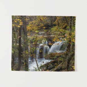 Dunloup Creek Falls   West Virginia Tapestry