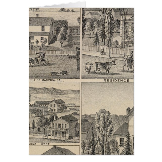 Dunnigan, Winters, Madison farm (Front)