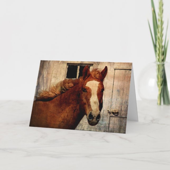 Dunnit, Birthday Card (Front)