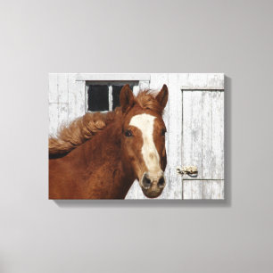 Dunnit Says Hello Canvas Print