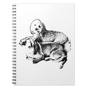 “Duo Lay” Notebook – Where Stillness Inspires
