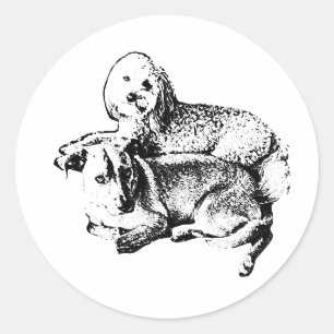 “Duo Lay” Sticker – Quiet Moments Between Friends