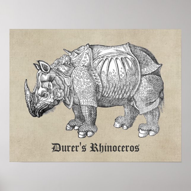 Durer Rhino Poster (Front)