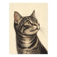 Dürer’s Tabby Treasures 1