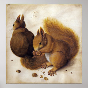 Dürer - Squirrel Poster