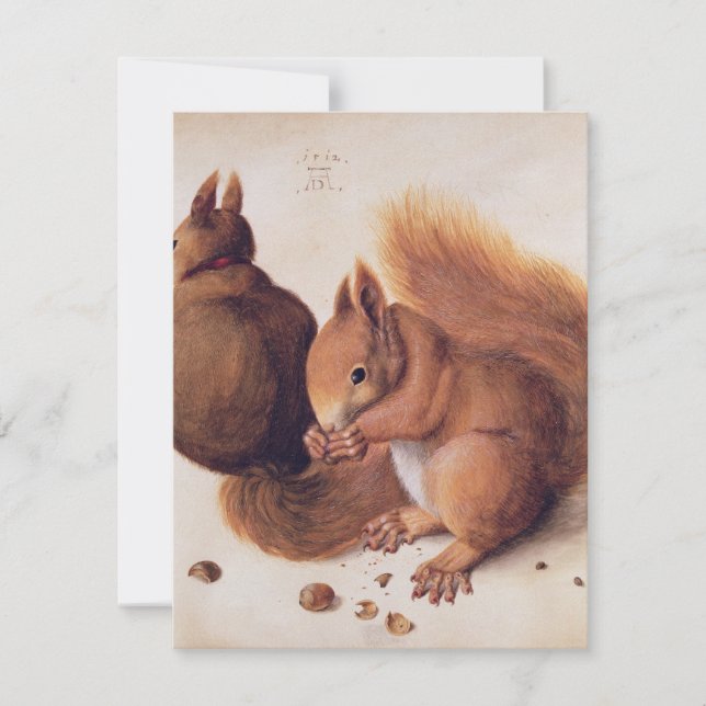 Durer - Squirrels 1512 Thank You Card (Front)