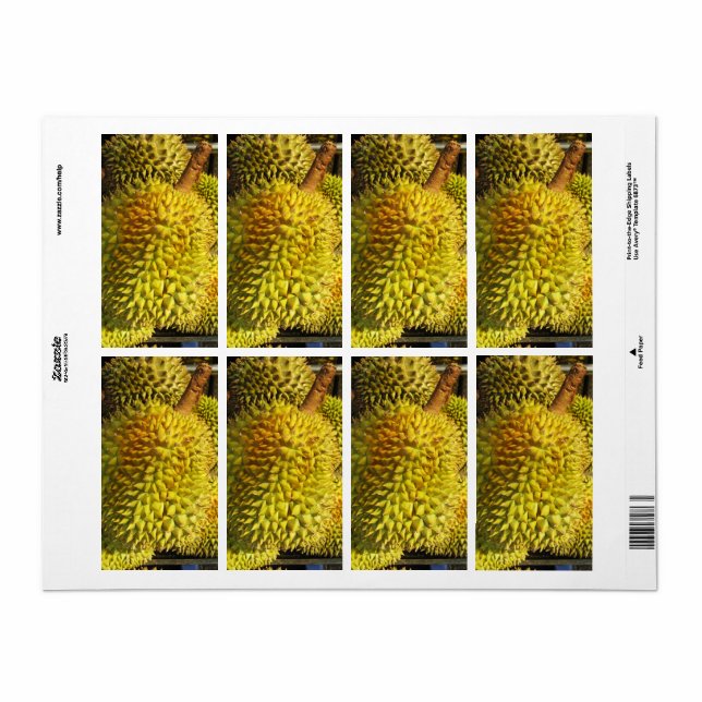 Durian Fruit (Full Sheet)