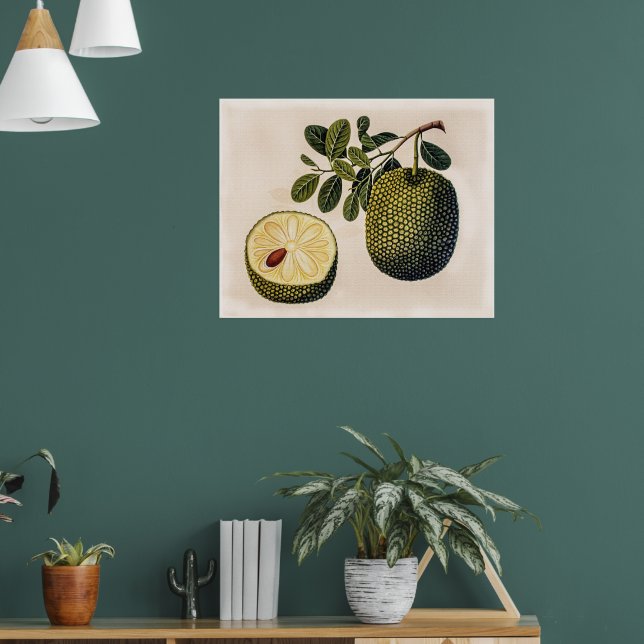 Durian Fruit and Foliage  Poster (Living Room 1)