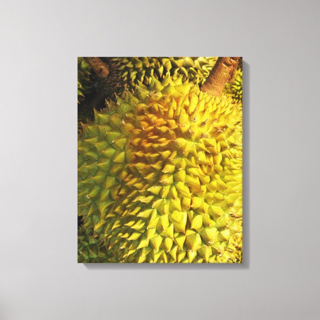 Durian Fruit Canvas Print (Front)