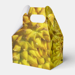 Durian Fruit Favour Box