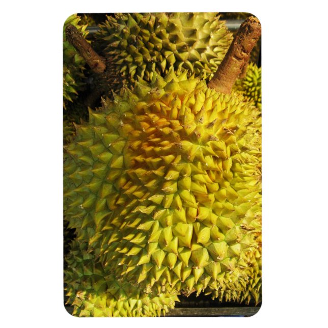 Durian Fruit Magnet (Vertical)