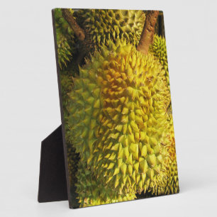 Durian Fruit Plaque