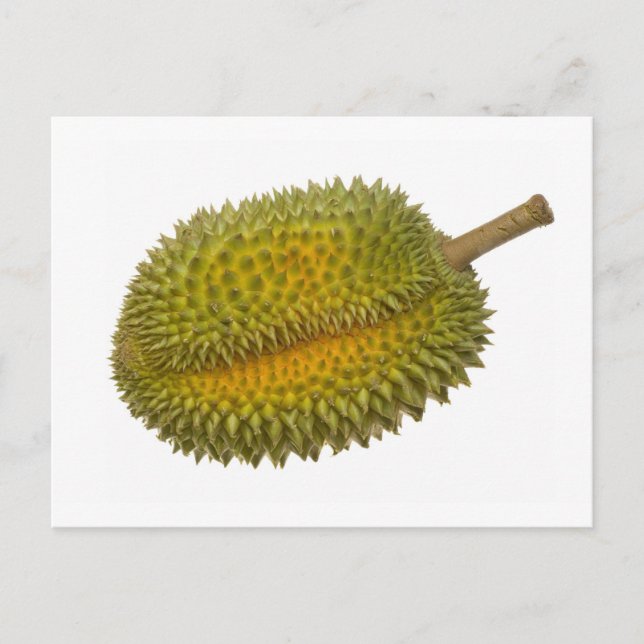 Durian Postcard (Front)