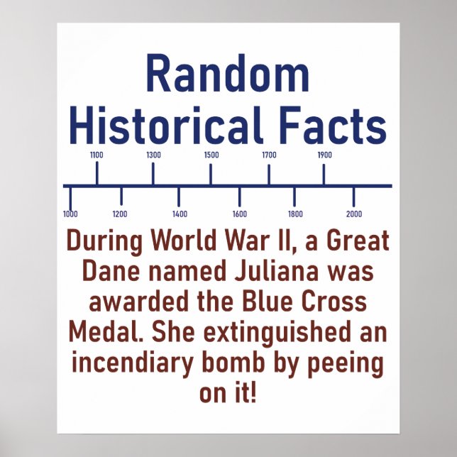 During WWII A Great Dane - History Fact Poster (Front)