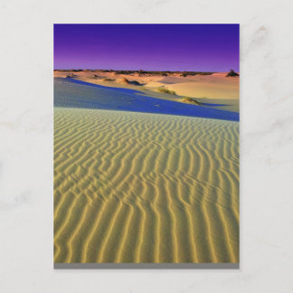 Dusk at Monahans Sands Postcard