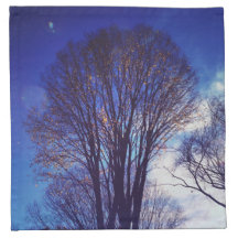 Dusk in the Park
