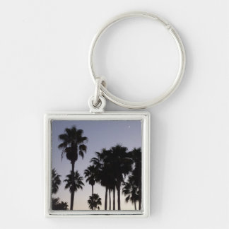Dusk with Palm Trees Tropical Scene Key Ring