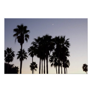 Dusk with Palm Trees Tropical Scene Poster
