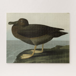 Dusky Albatros from Audubon's Birds of America Jigsaw Puzzle