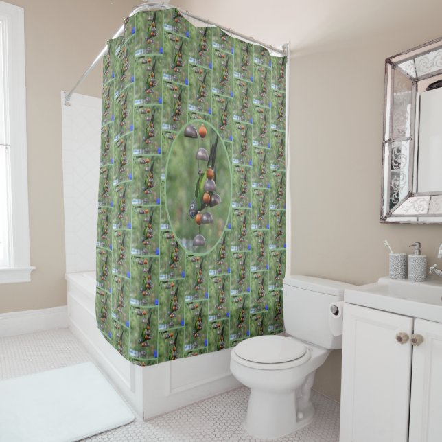 Dusky Conure Parrot Upside Down Bird  Shower Curtain (In Situ)