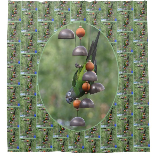 Dusky Conure Parrot Upside Down Bird  Shower Curtain (Front)