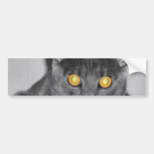 Dusky Gold Bumper Sticker