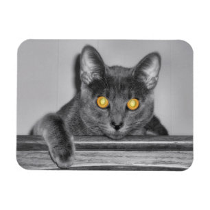 Dusky Gold Flexible Magnet