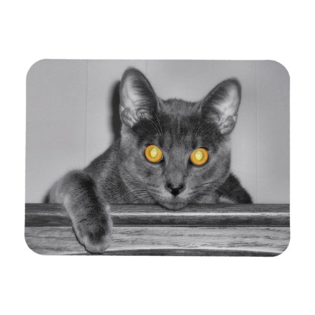 Dusky Gold Flexible Magnet (Horizontal)