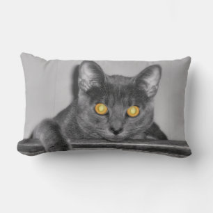 Dusky Gold Pillow