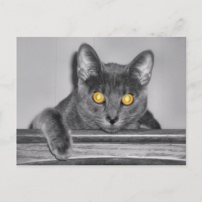 Dusky Gold Postcard (Front)