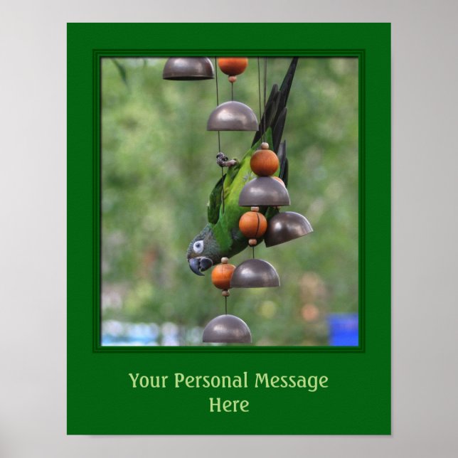 Dusky Headed Conure Parrot Animal Personalised Poster (Front)