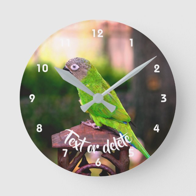 Dusky Headed Conure Parrot Personalised Round Clock (Front)