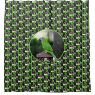 Dusky Headed Conure Parrot  Shower Curtain