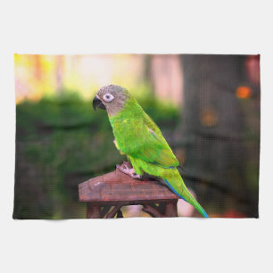 Dusky Headed Conure Parrot Tea Towel