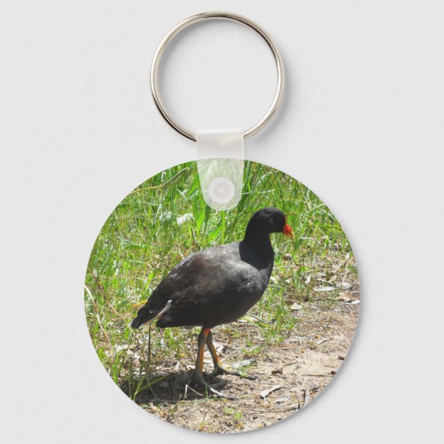 Dusky Moorhen Key Ring (Front)