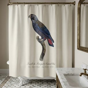 Dusky Parrot or Dusky Pionus, Pionus fuscus Shower Curtain