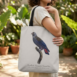 Dusky Parrot or Dusky Pionus, Pionus fuscus Tote Bag