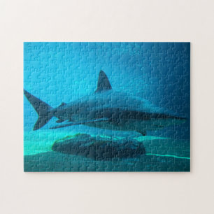 Dusky Shark (Carcharhinus Obscurus), Ushaka Jigsaw Puzzle