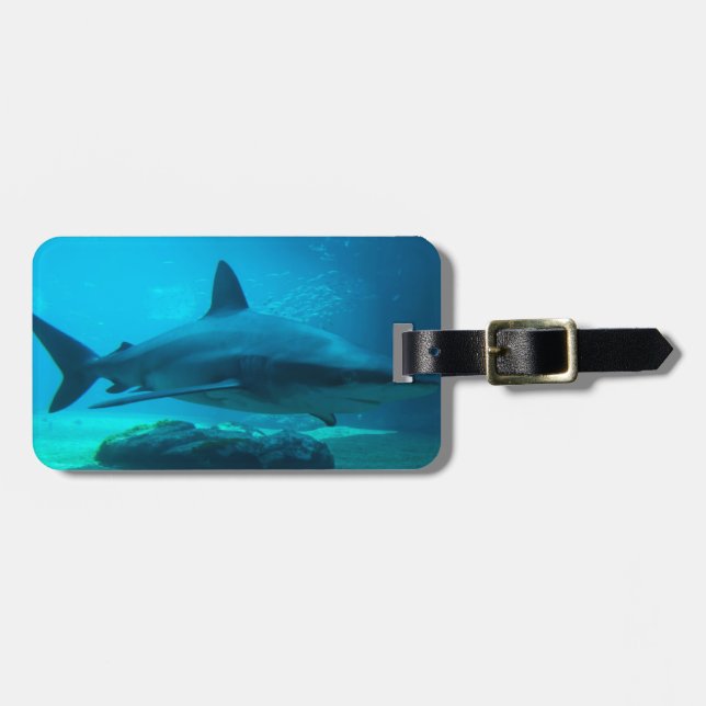 Dusky Shark (Carcharhinus Obscurus), Ushaka Luggage Tag (Front Horizontal)