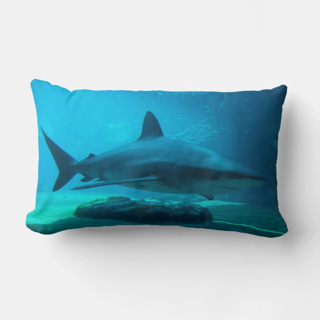 Dusky Shark (Carcharhinus Obscurus), Ushaka Lumbar Cushion (Front)