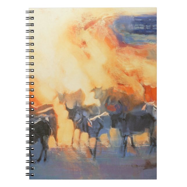Dust Cloud Drung 1996 Spiral Notebook (Front)