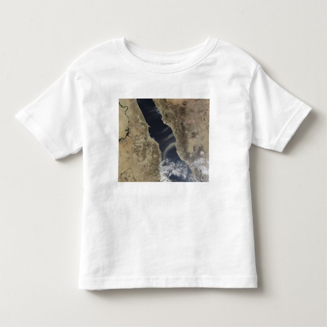Dust plumes blow off the coast of Saudi Arabia Toddler T-Shirt (Front)