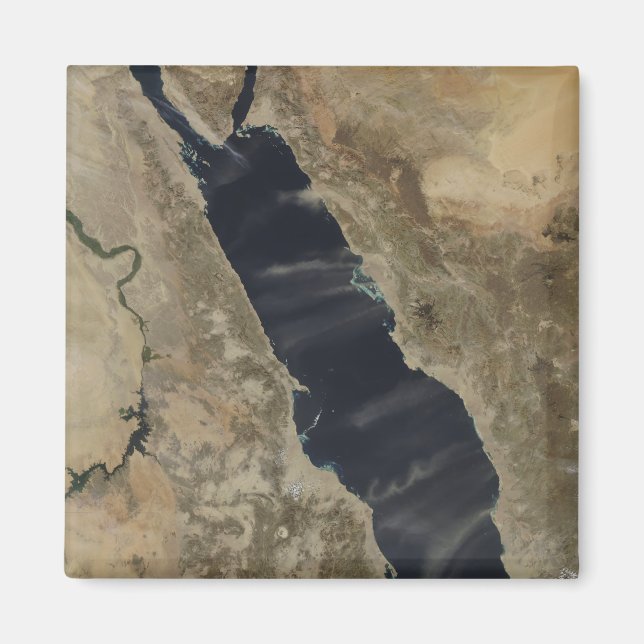 Dust plumes over the Red Sea Magnet (Front)