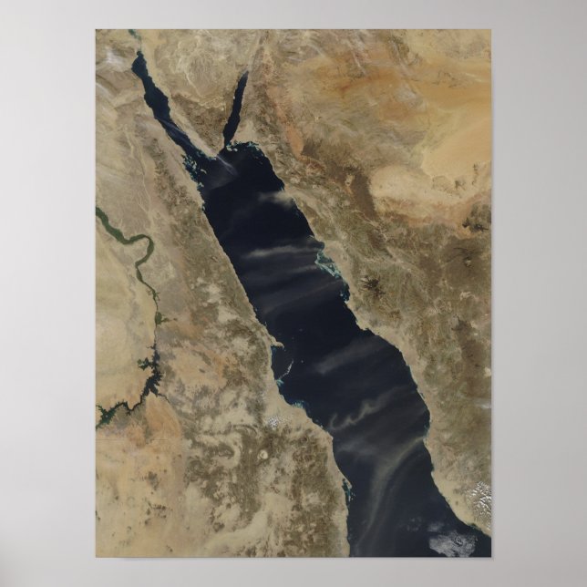 Dust plumes over the Red Sea Poster (Front)