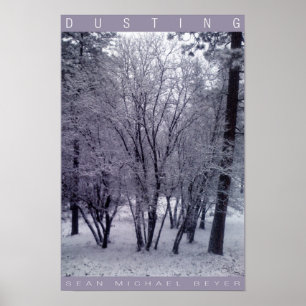 Dusting Poster