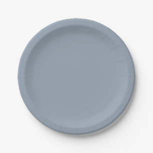 Dusty Dove Blue Color Paper Plate