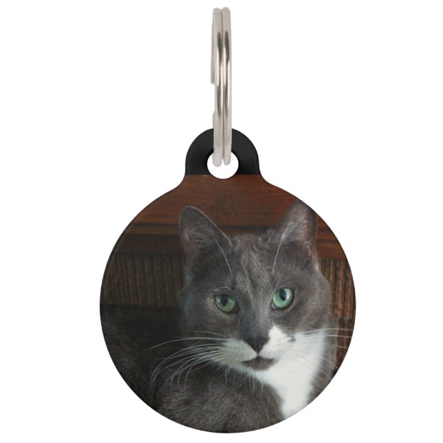 Dusty Pet Tag (Front)