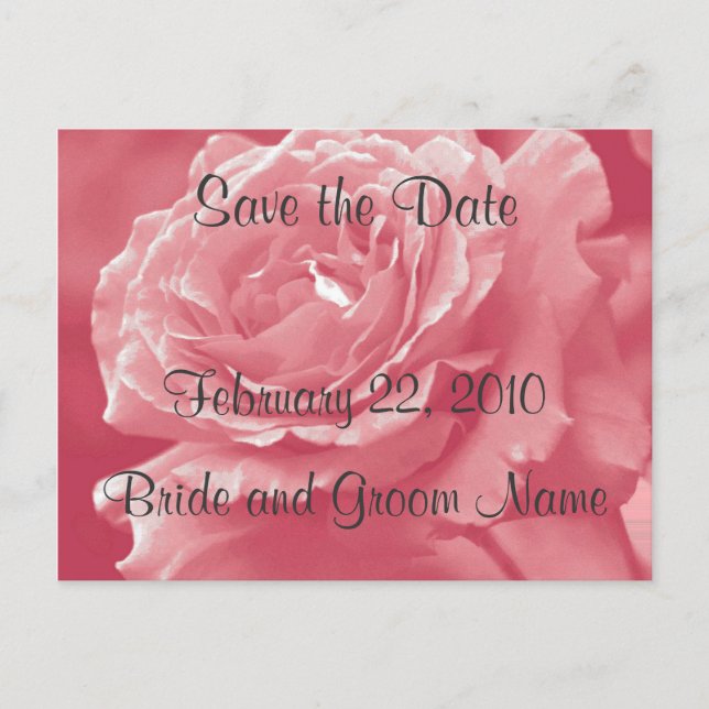 Dusty Pink Rose Save the Date Postcard (Front)