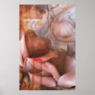 dusty rose poster